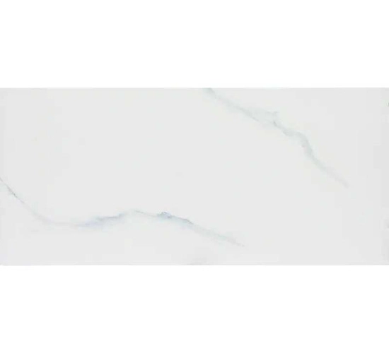 Фаянс “Роза“ бял 30x60cm.jpg